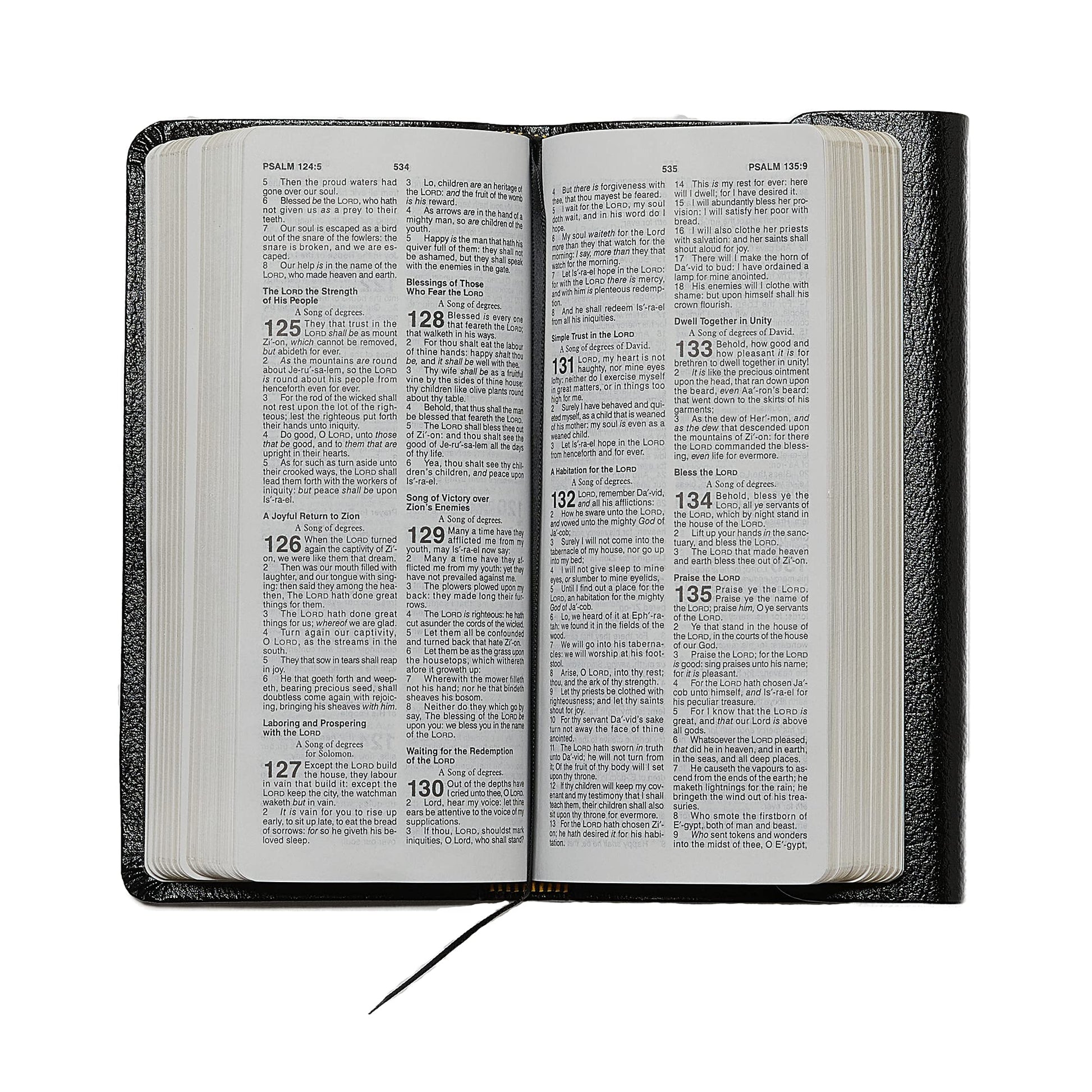 KJV Compact Checkbook Bible, Burgundy Bonded Leather, Red Letter: King James Version, Holy Bible