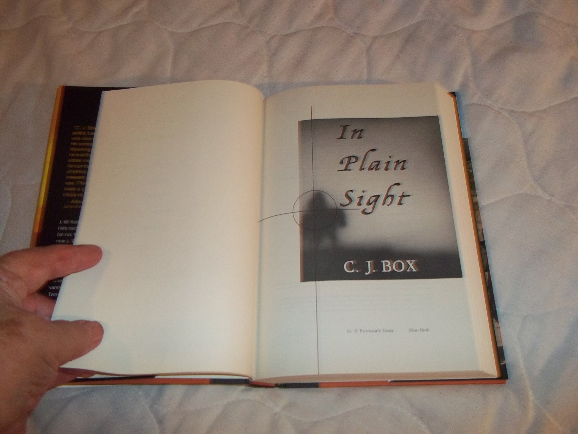 In Plain Sight (A Joe Pickett Novel)