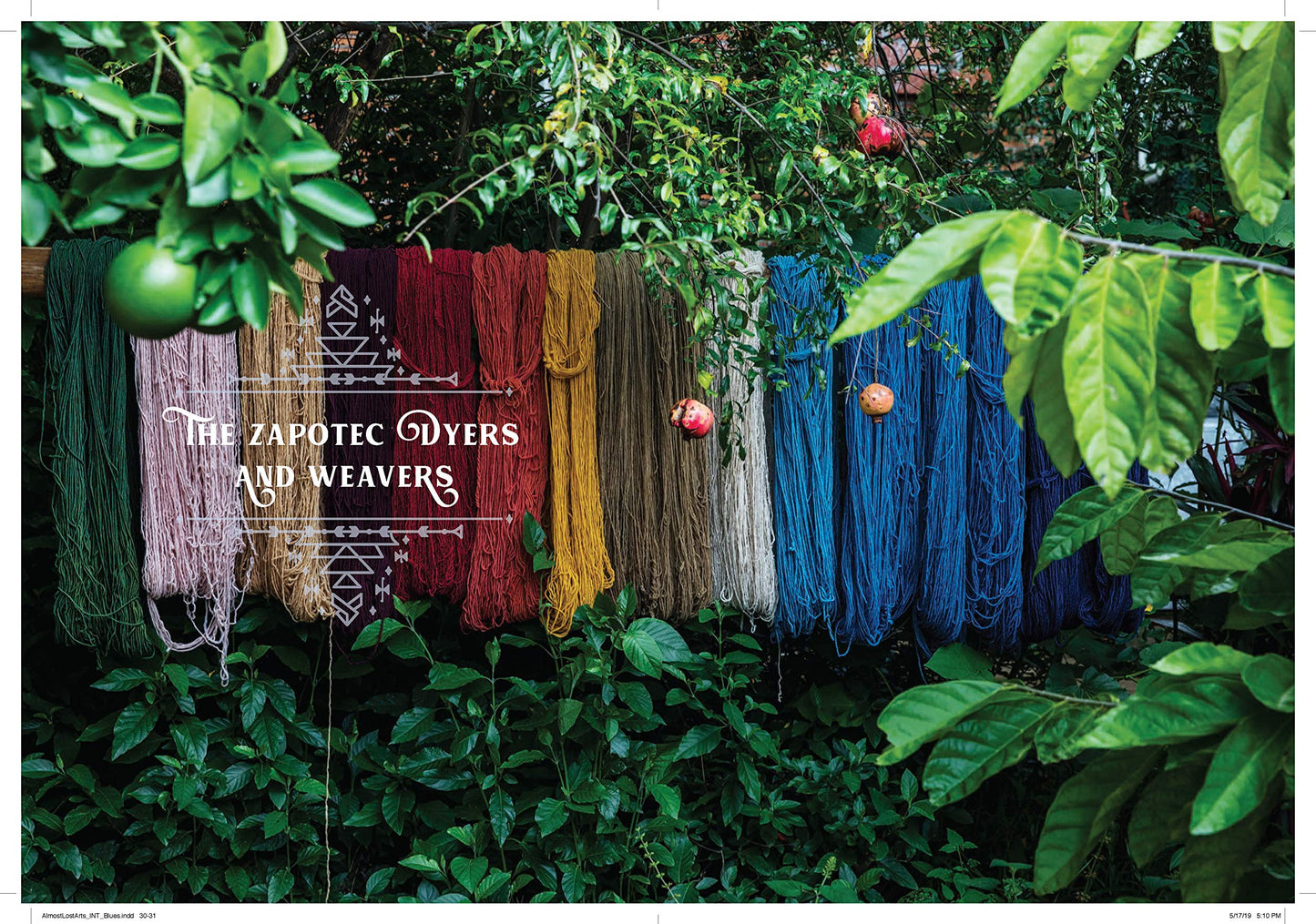 Almost Lost Arts: Traditional Crafts and the Artisans Keeping Them Alive (Arts and Crafts Book, Gift for Artists and History Lovers)