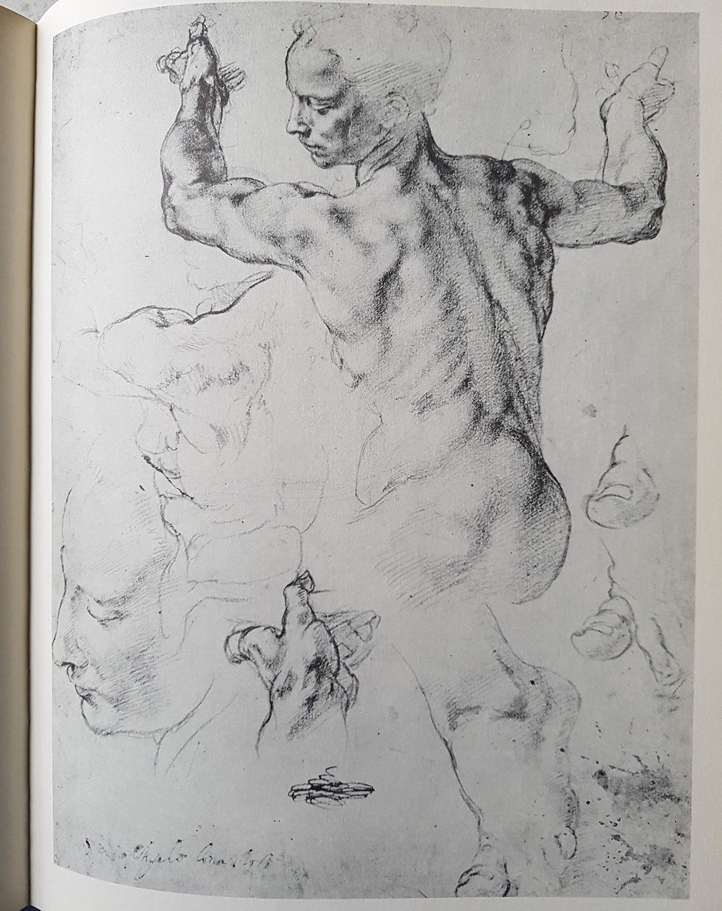 Drawings Lessons from the Great Masters