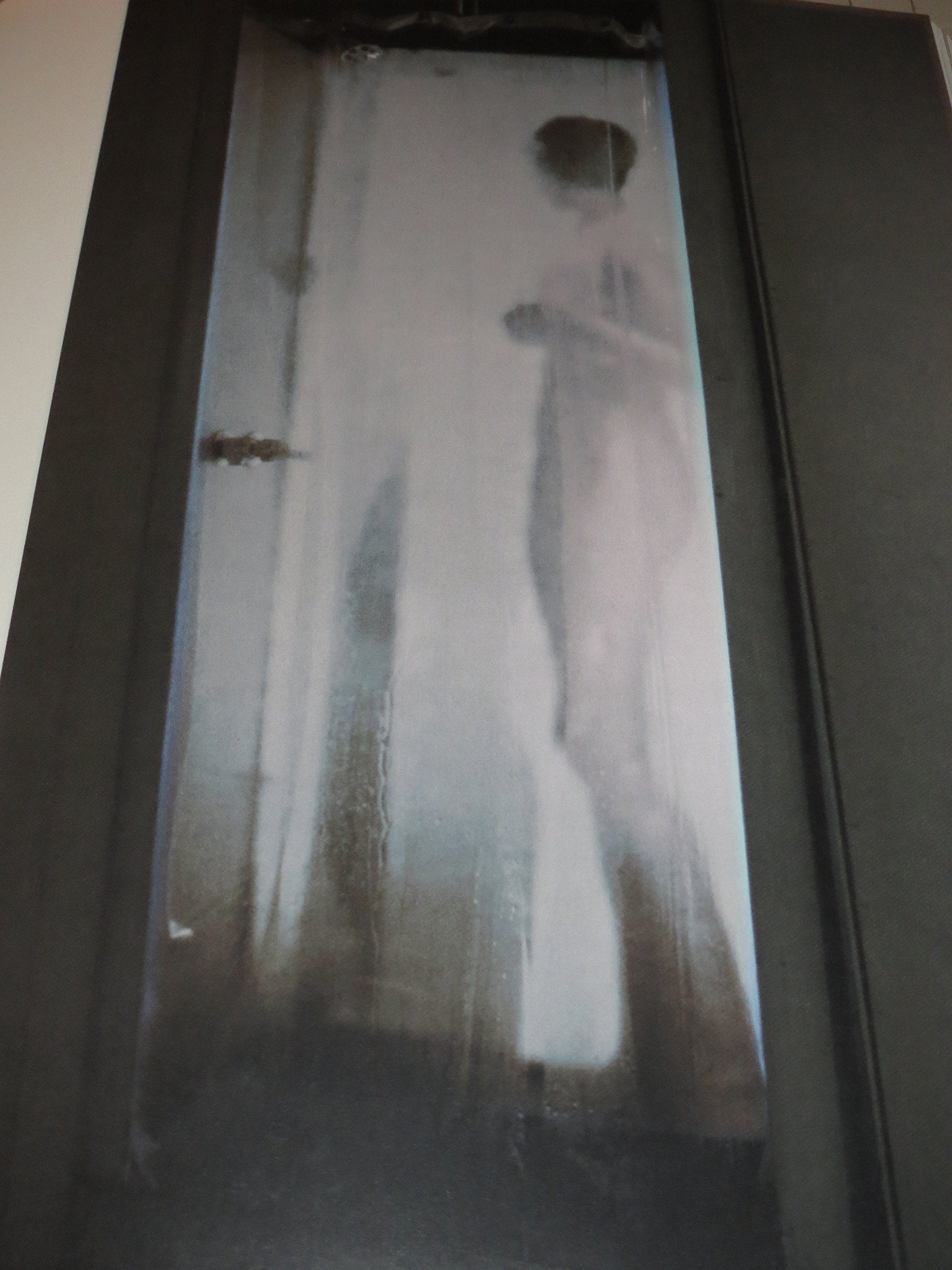 Into the Light: The Projected Image in American Art, 1964-1977