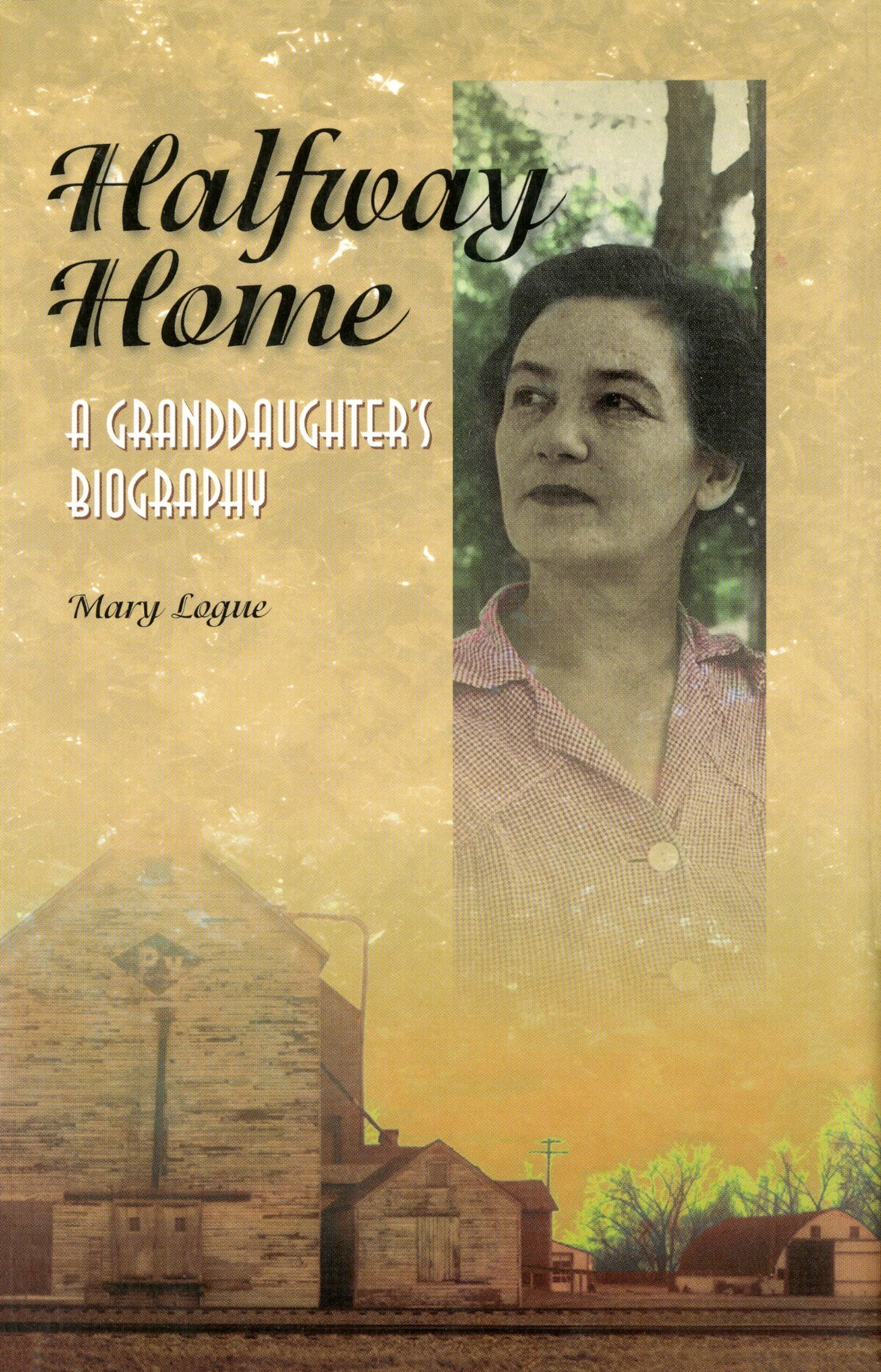 Halfway Home (Midwest Reflections)