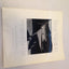 Voyage of the Eye by Brett Weston