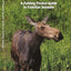 Michigan Wildlife: A Folding Pocket Guide to Familiar Animals (Wildlife and Nature Identification)