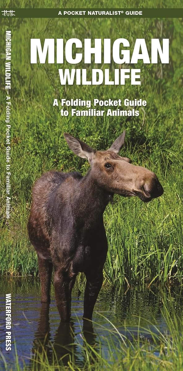 Michigan Wildlife: A Folding Pocket Guide to Familiar Animals (Wildlife and Nature Identification)