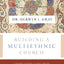 Building a Multiethnic Church: A Gospel Vision of Love, Grace, and Reconciliation in a Divided World