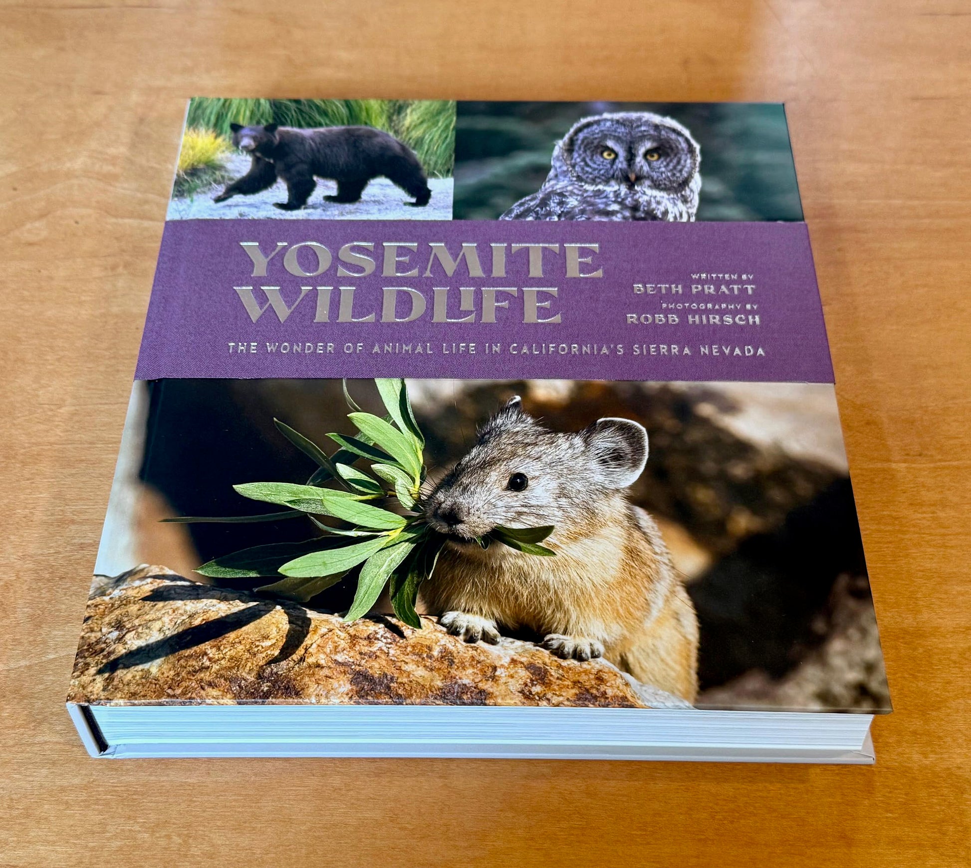 Yosemite Wildlife: The Wonder of Animal Life in California's Sierra Nevada