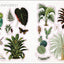 The Botanist's Sticker Anthology