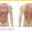 The Complete Human Body, 2nd Edition: The Definitive Visual Guide (DK Human Body Guides)