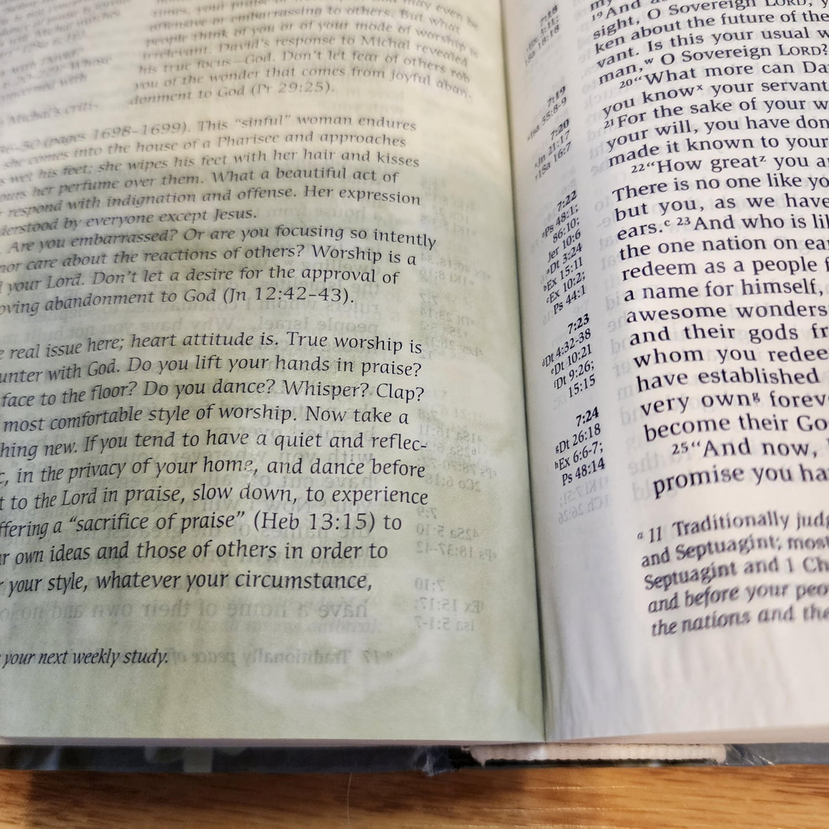 NIV Women of Faith Study Bible