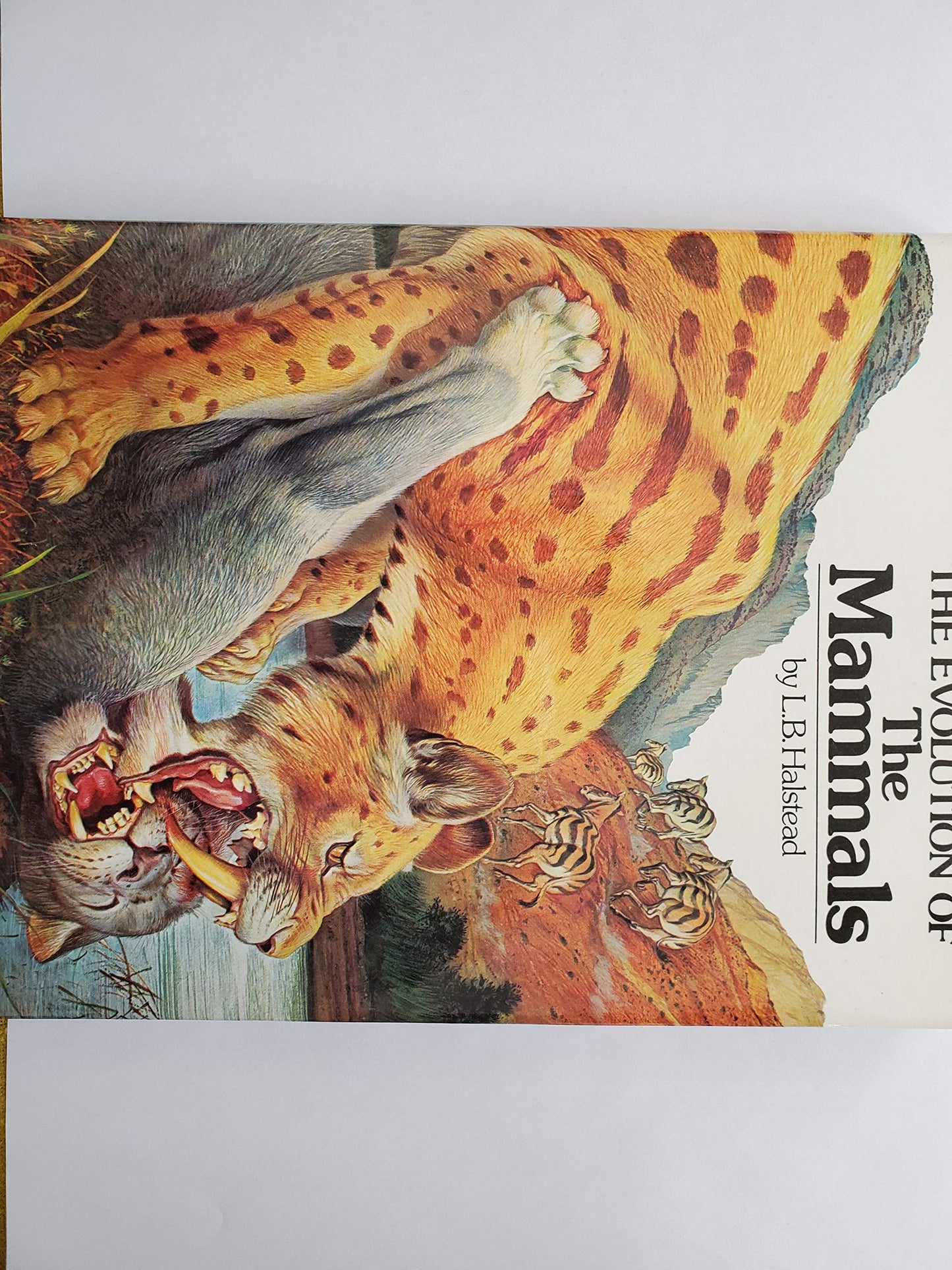The evolution of the mammals