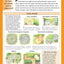 Patios: Designing, Building, Improving, and Maintaining Patios, Paths and Steps (Creative Homeowner) (Specialist Guide)