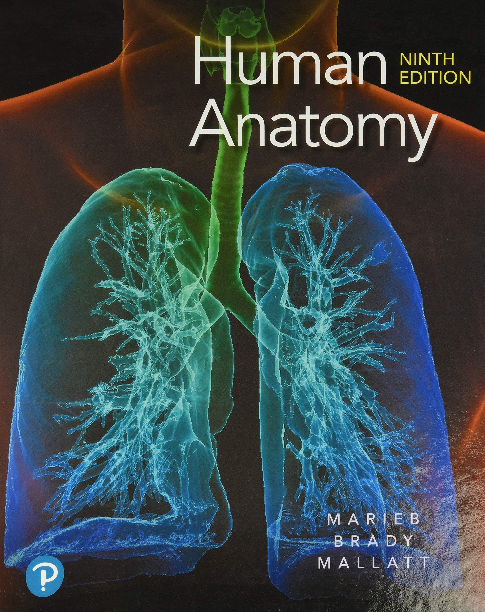 Human Anatomy