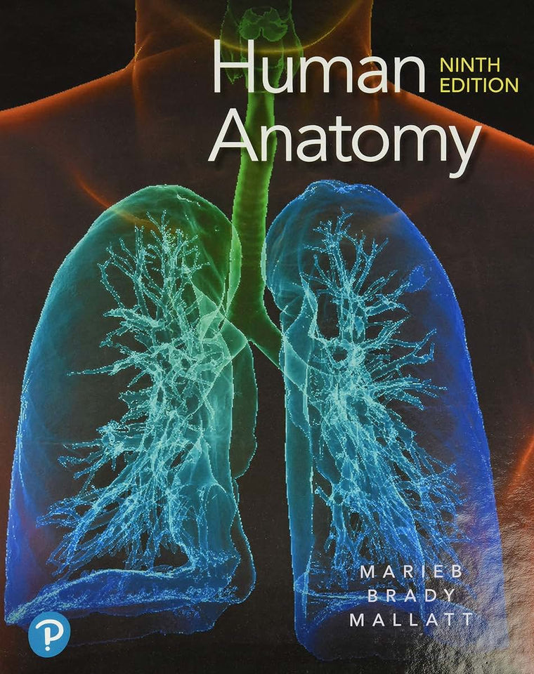 Human Anatomy