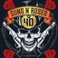 Guns N' Roses at 40