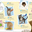 The Everything Book of Cats and Kittens (Everything About Pe