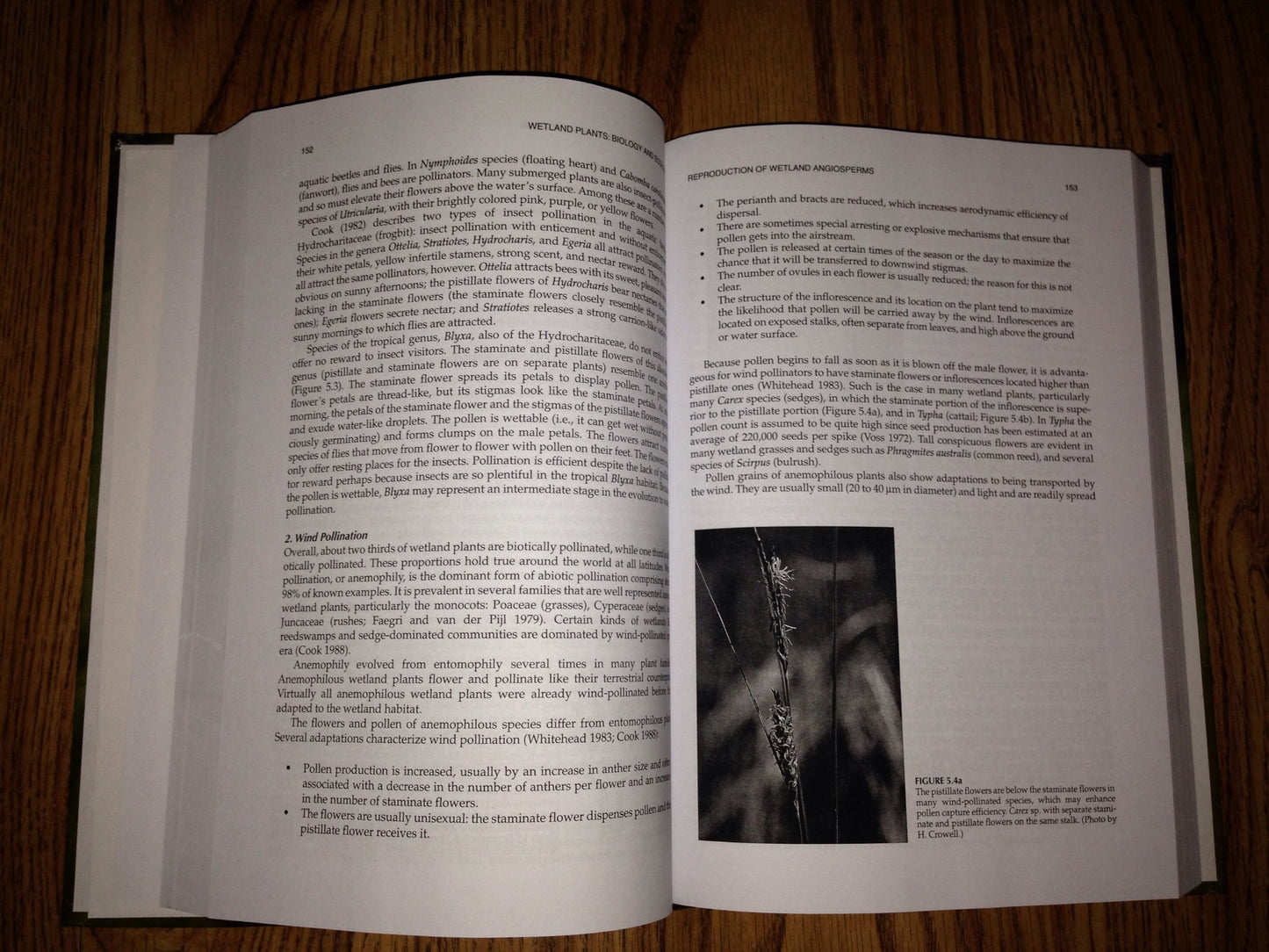 Wetland Plants: Biology and Ecology by Cronk, Julie K.