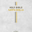 Bilingual Bible / Biblia biling?e NLT/NTV (Hardcover, Gray)