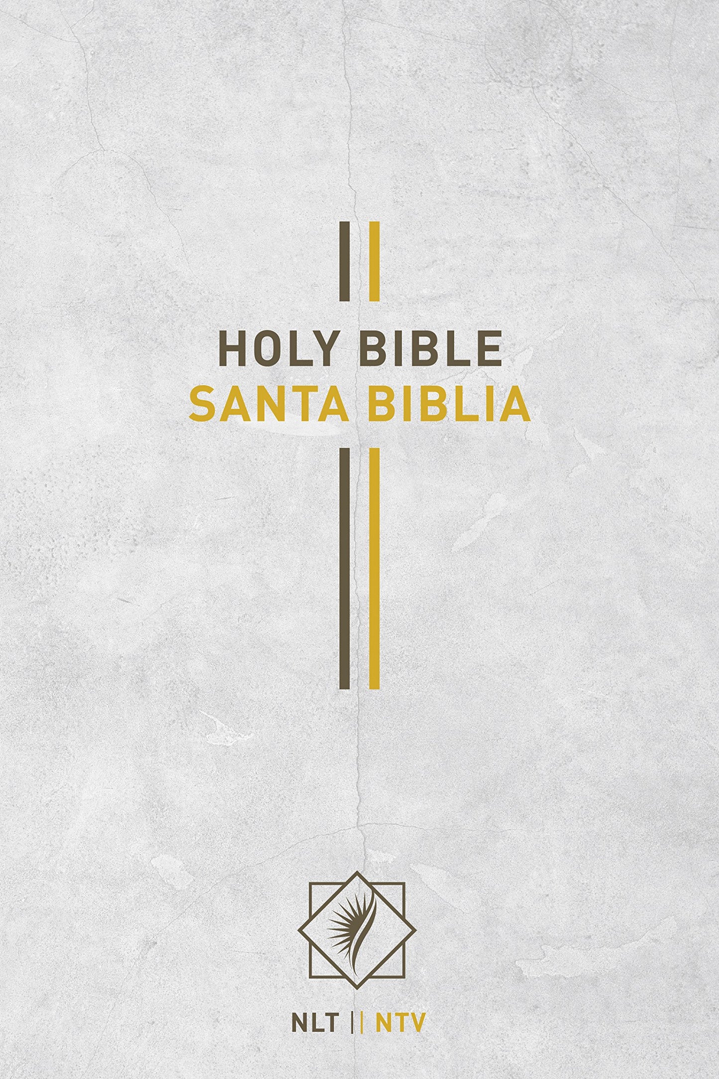 Bilingual Bible / Biblia biling?e NLT/NTV (Hardcover, Gray)