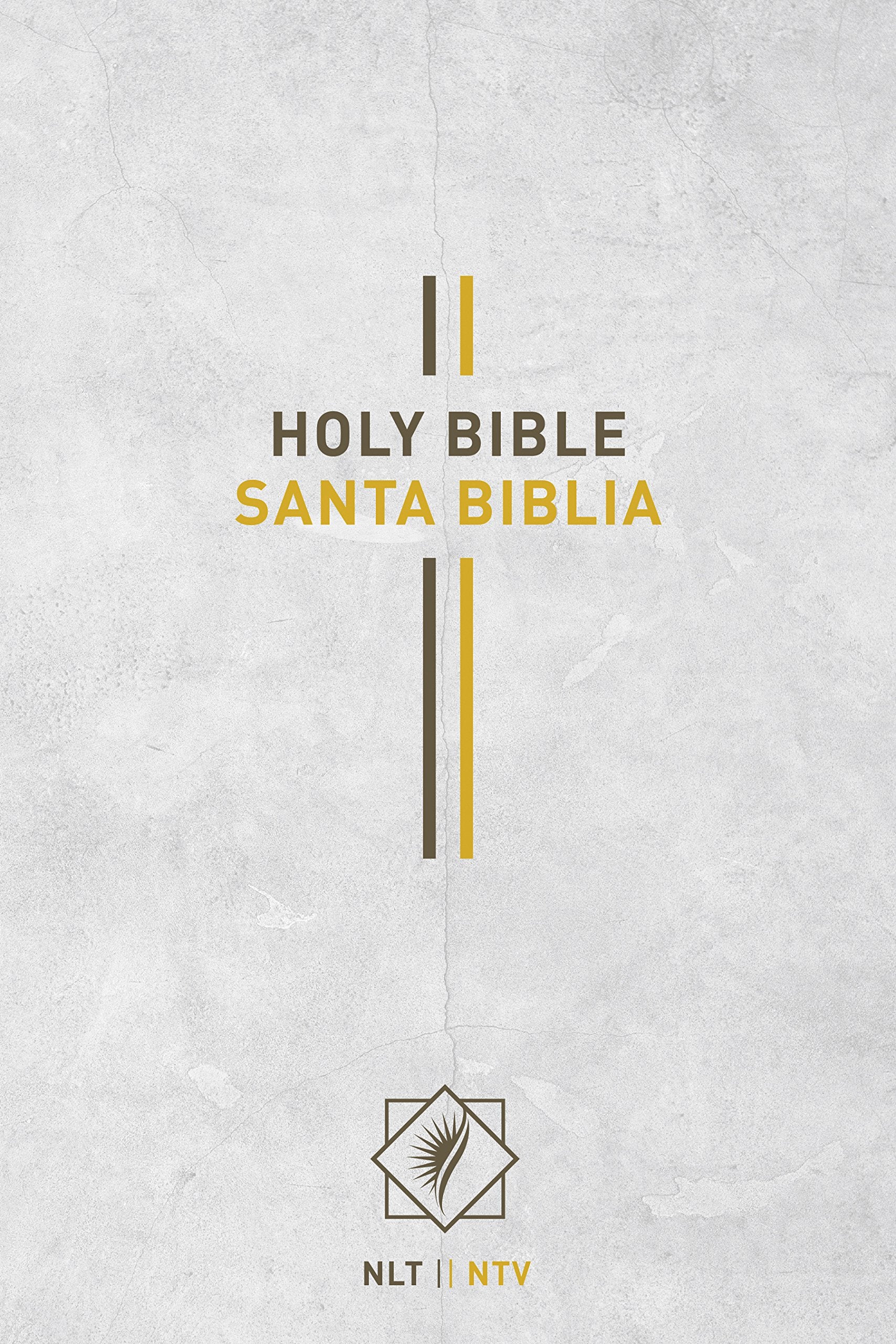 Bilingual Bible / Biblia biling?e NLT/NTV (Hardcover, Gray)