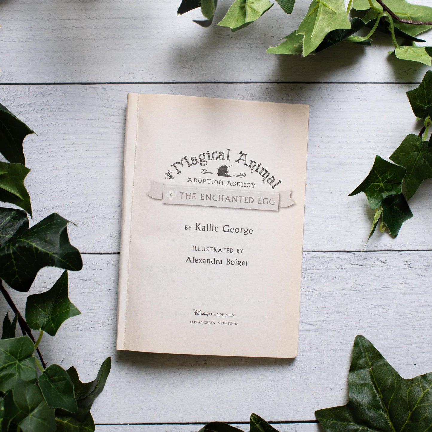 The Enchanted Egg (The Magical Animal Adoption Agency, 2) by