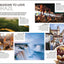 DK Eyewitness Brazil (Travel Guide)