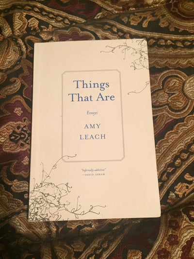 Things That Are: Essays