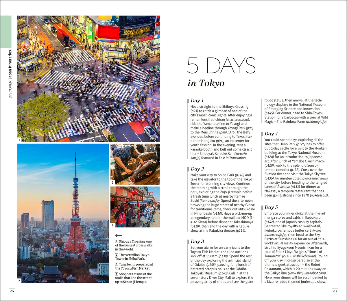 DK Eyewitness Japan (Travel Guide)