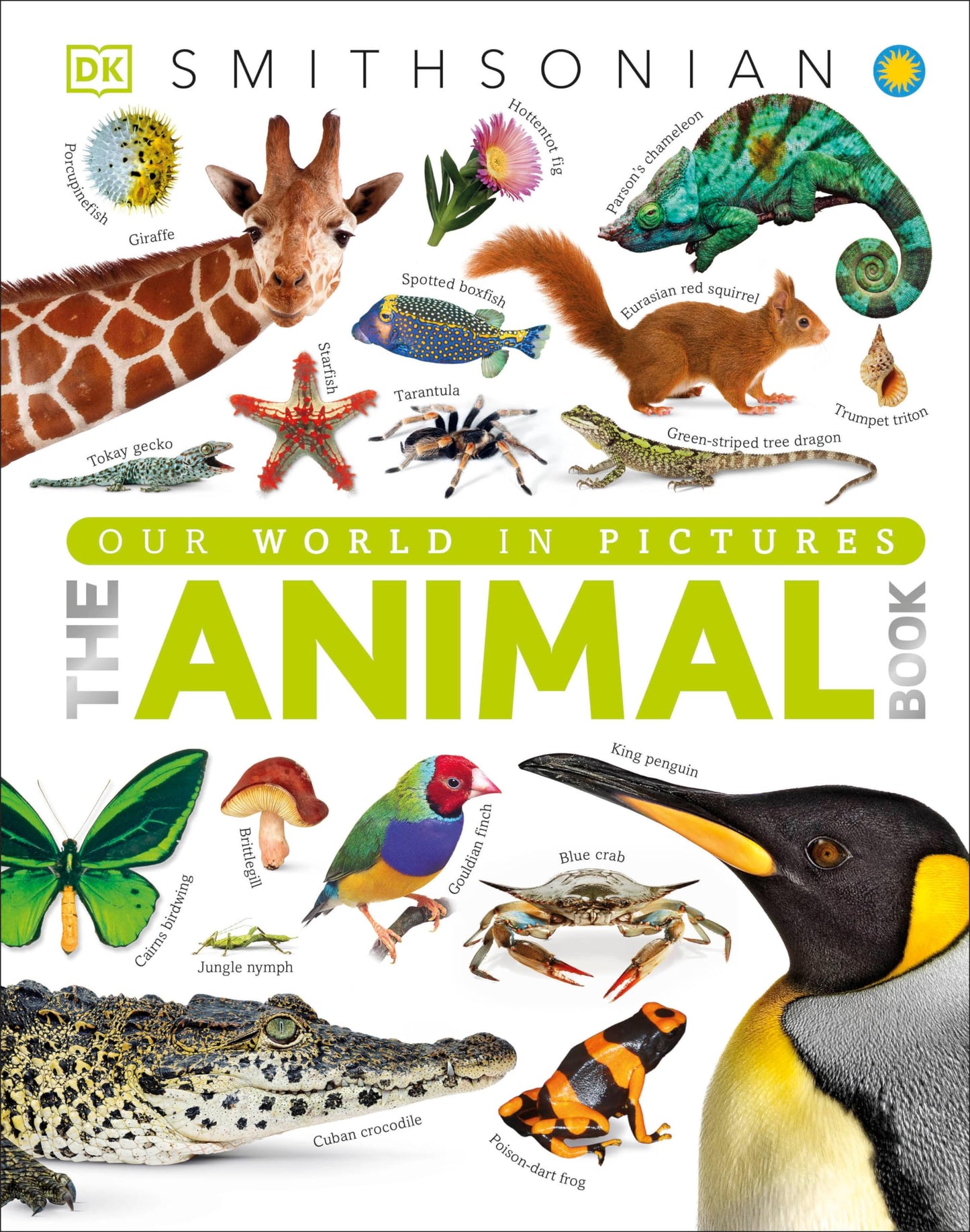 The Animal Book: A Visual Encyclopedia of Life on Earth (DK