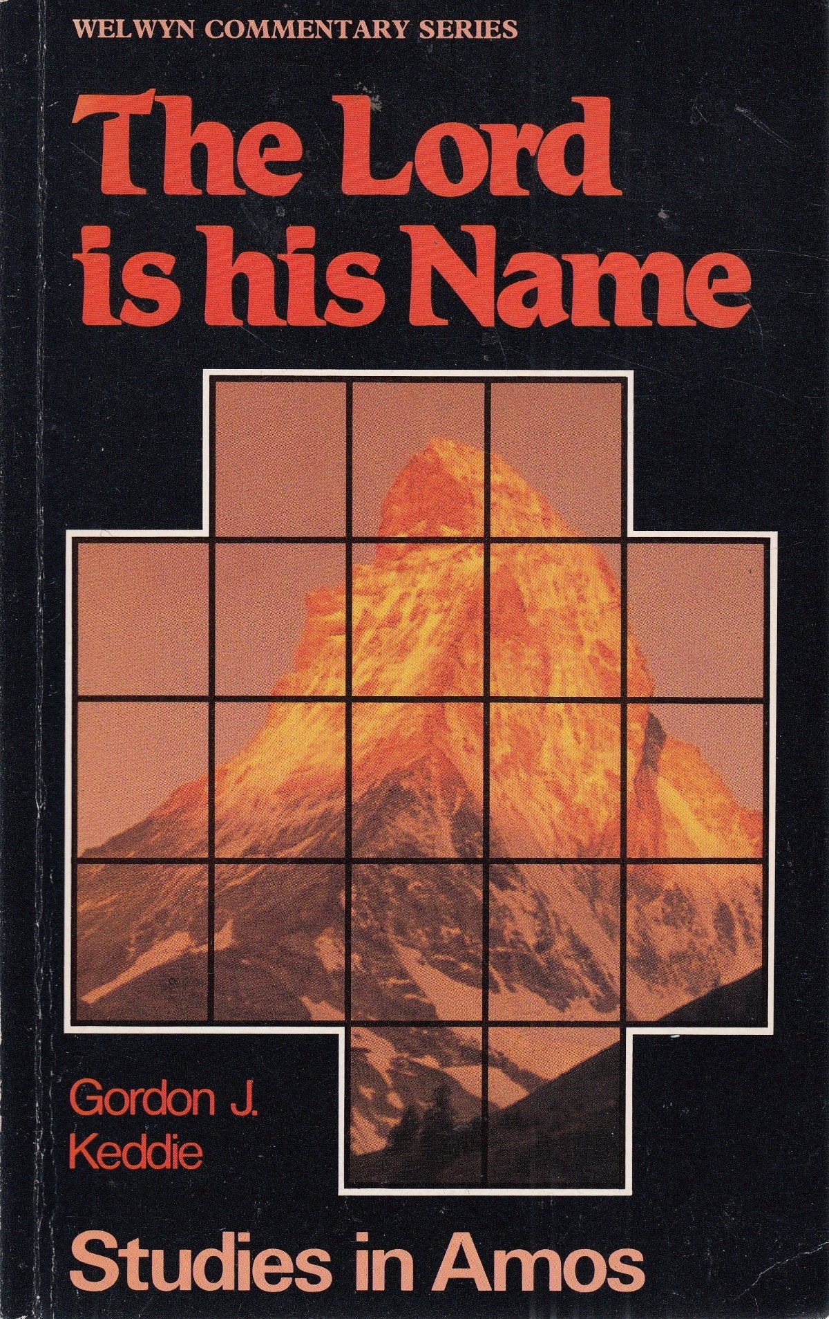 Amos: The Lord Is His Name (Welwyn Commentary)