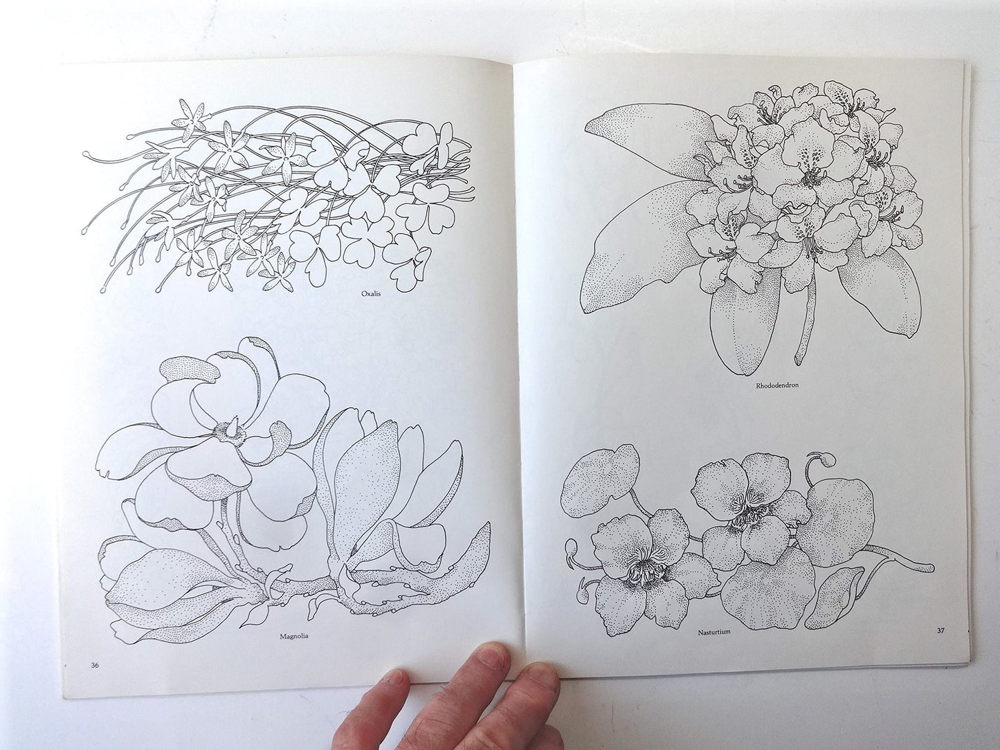 Treasury of Flower Designs for Artists, Embroiderers and Craftsmen (Dover Pictorial Archive)