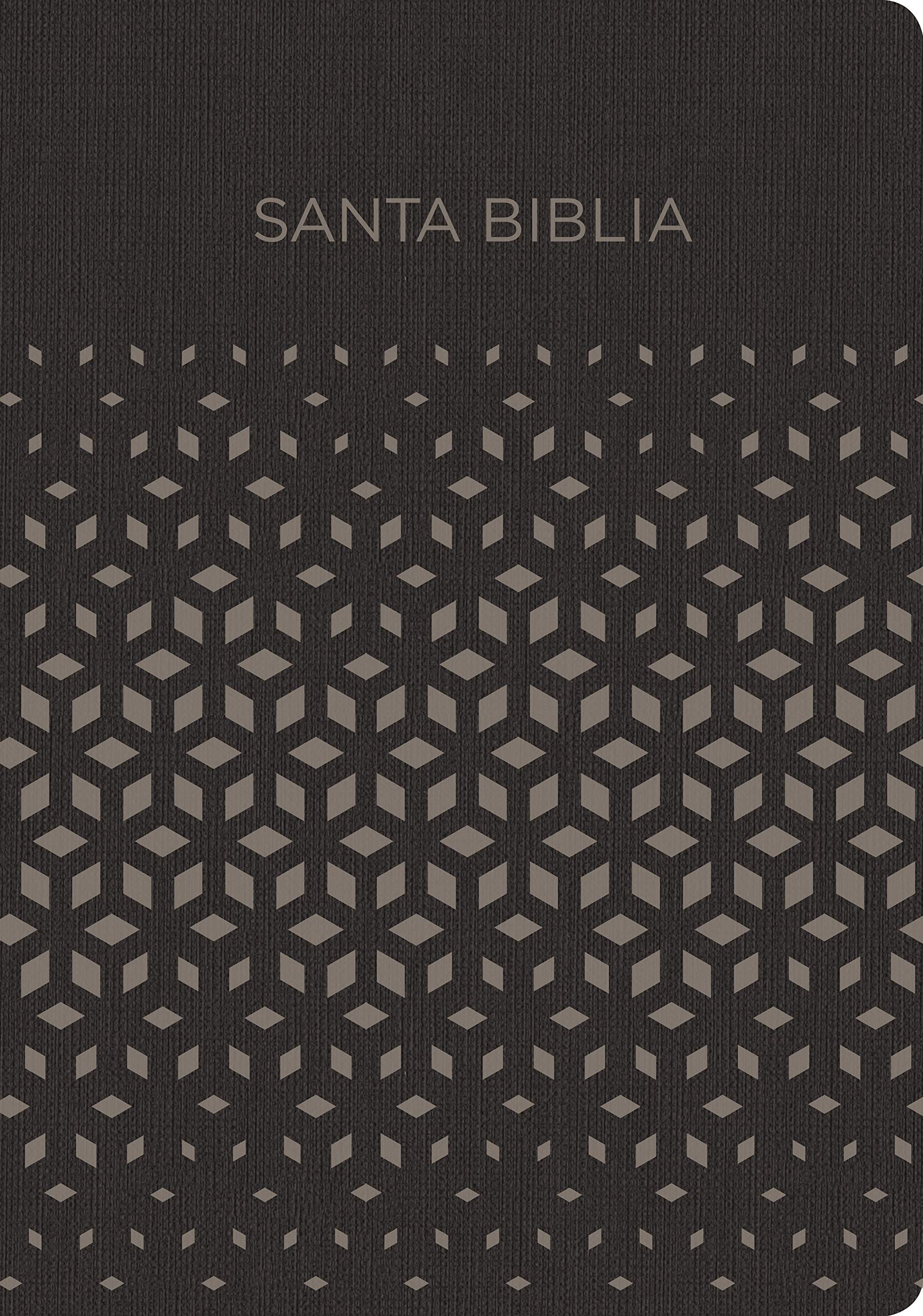 Biblia Reina Valera 1960 para Regalos y Premios. Smil piel, negro y plata (Gift and Award Holy Bible RVR 1960. LeatherTouch, Black and Silver) (Spanish Edition)