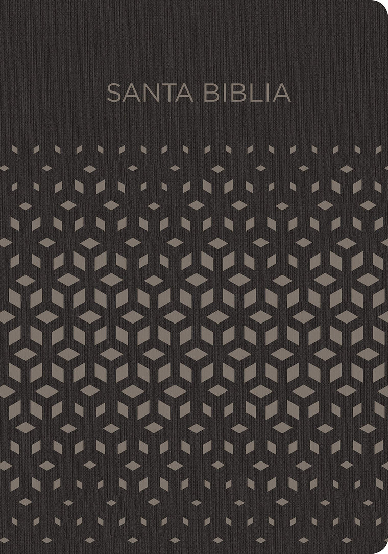 Biblia Reina Valera 1960 para Regalos y Premios. Smil piel, negro y plata (Gift and Award Holy Bible RVR 1960. LeatherTouch, Black and Silver) (Spanish Edition)