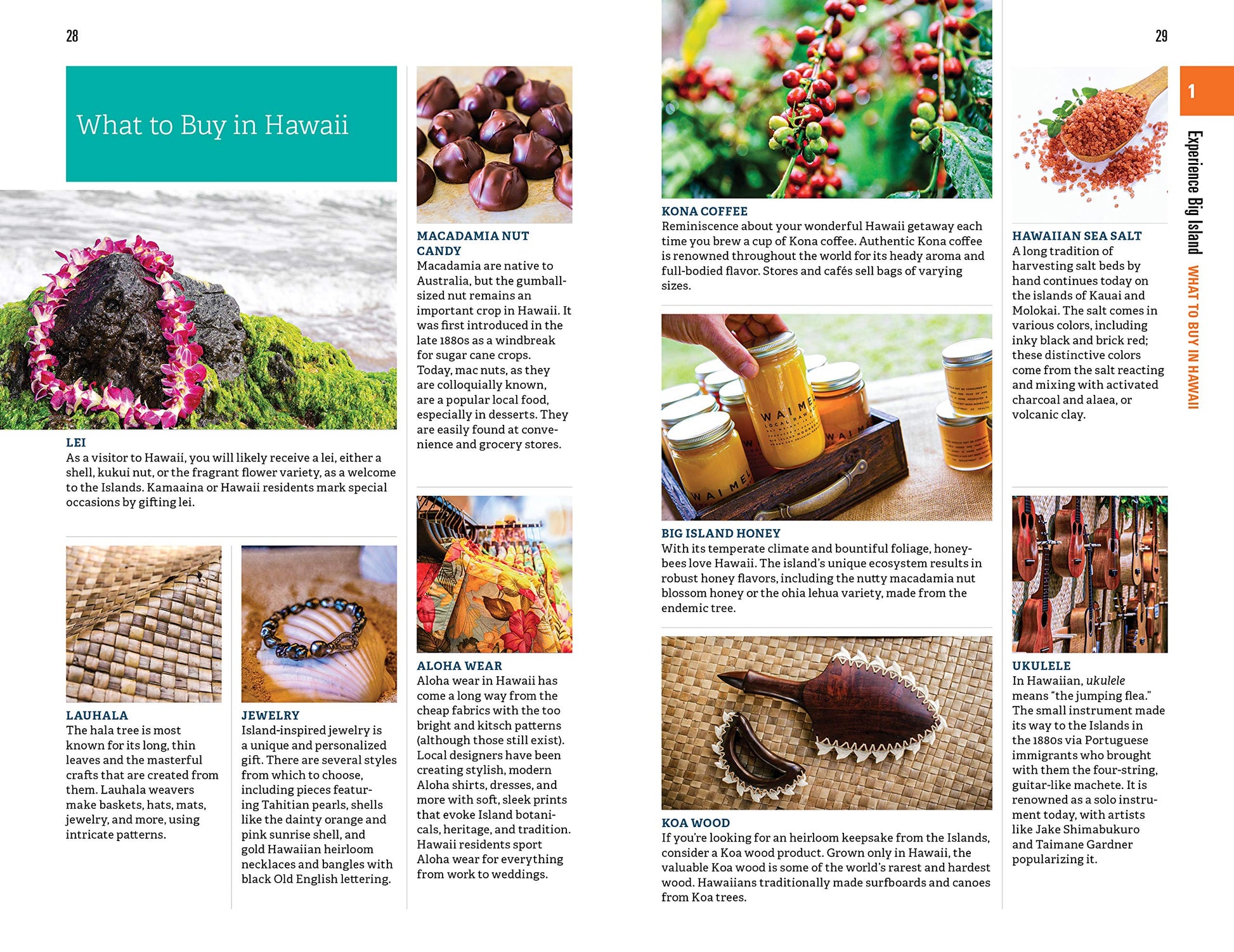 Fodor's Big Island of Hawaii (Full-color Travel Guide)
