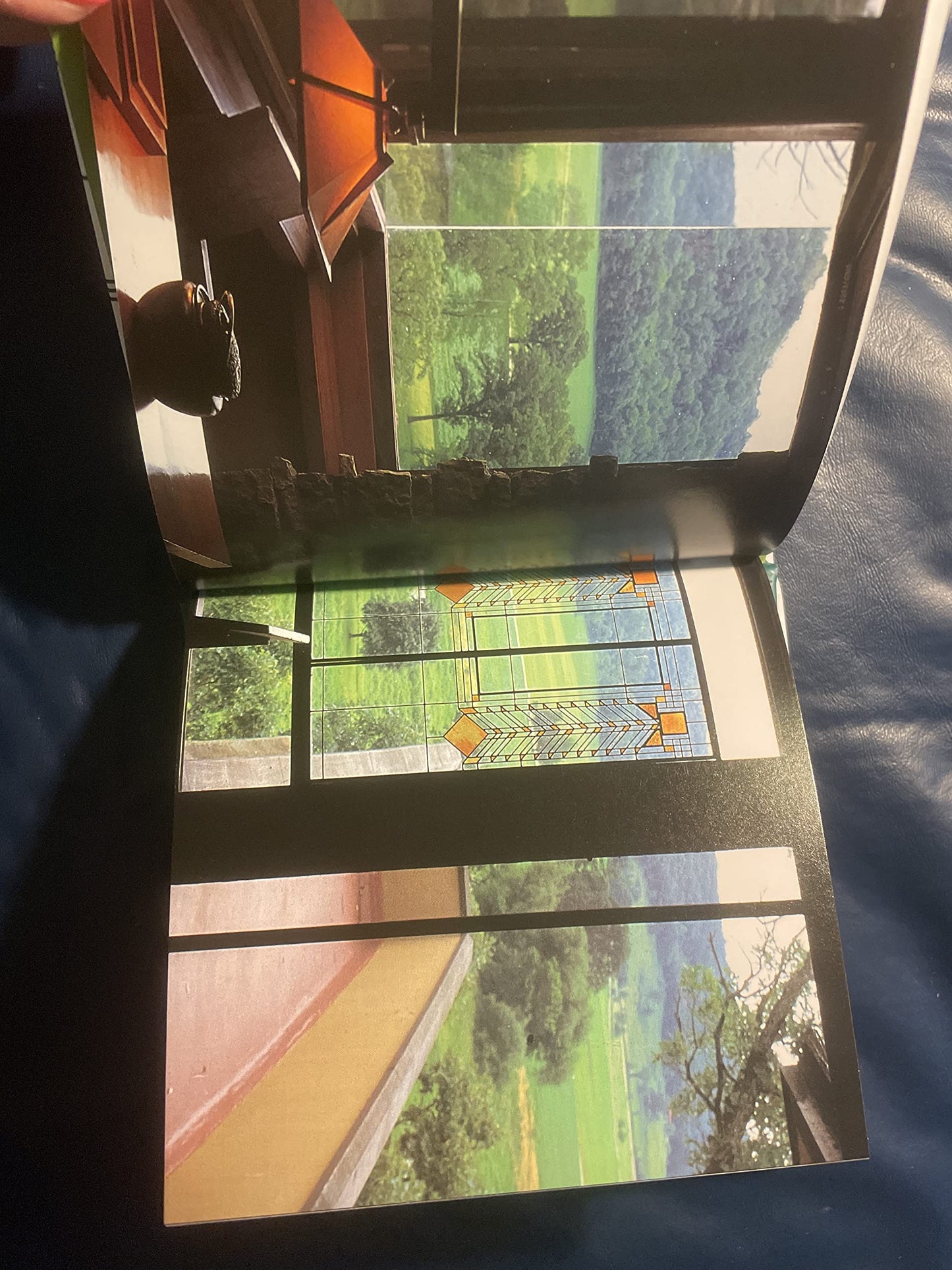 Frank Lloyd Wright's Glass Designs (Wright at a Glance)