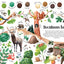 Colors of Habitats (Nature's Wonderful Colors, 2)