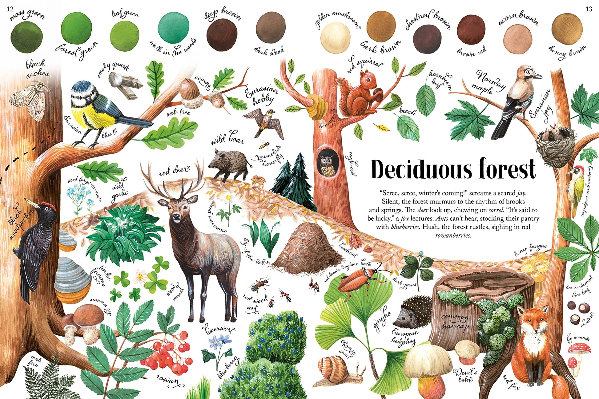 Colors of Habitats (Nature's Wonderful Colors, 2)