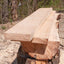 Homeowner's Complete Guide to the Chainsaw by Miakarts Books