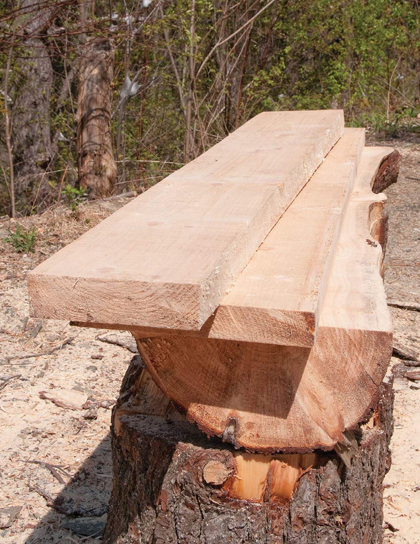 Homeowner's Complete Guide to the Chainsaw by Miakarts Books