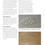 Chris Pye's Woodcarving Course & Reference Manual: A Beginner's Guide to Traditional Techniques (Fox Chapel Publishing) Relief Carving and In-the-Round Step-by-Step