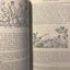 A Tolkien Miscellany by J.R.R. Tolkien