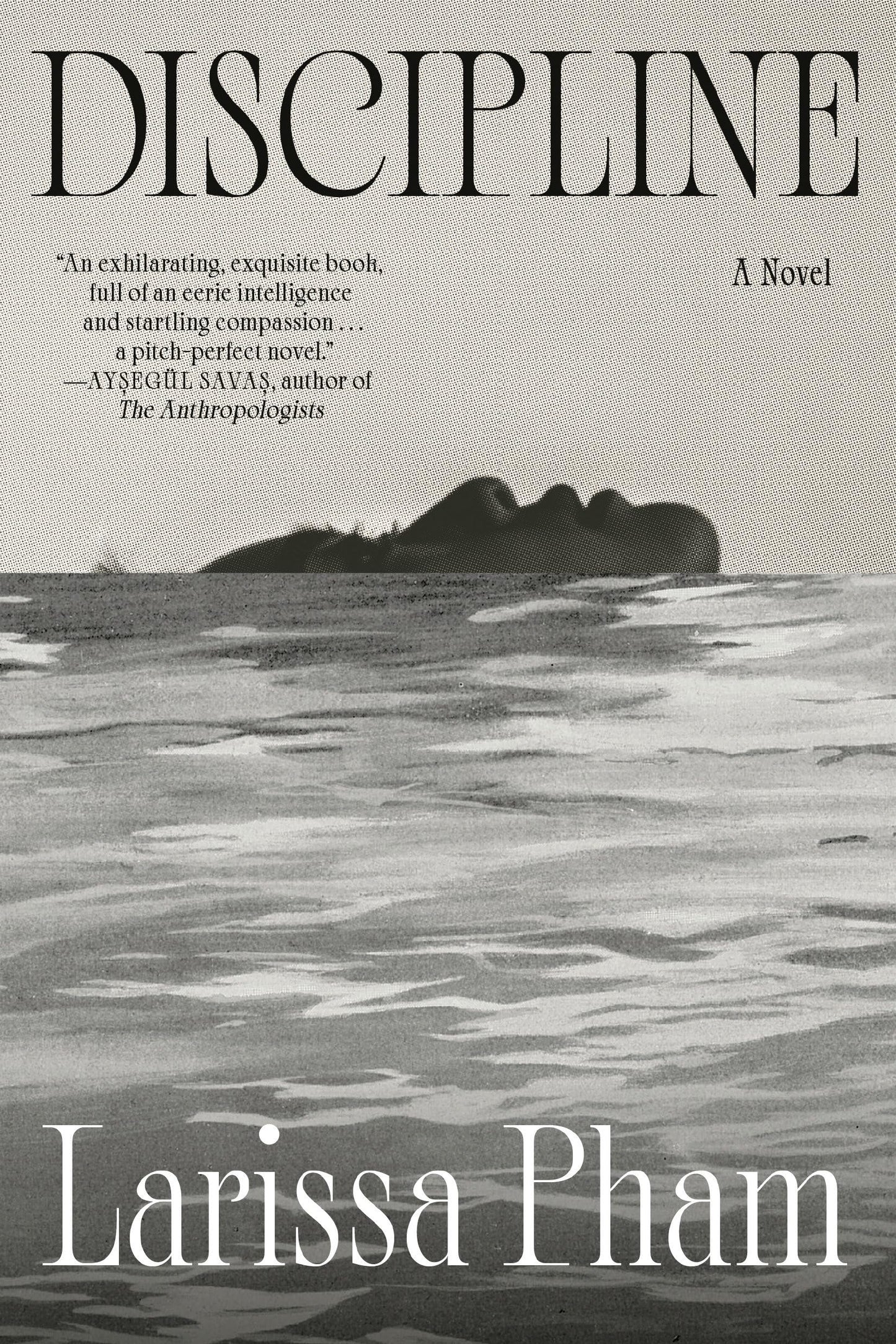 Discipline: A Novel