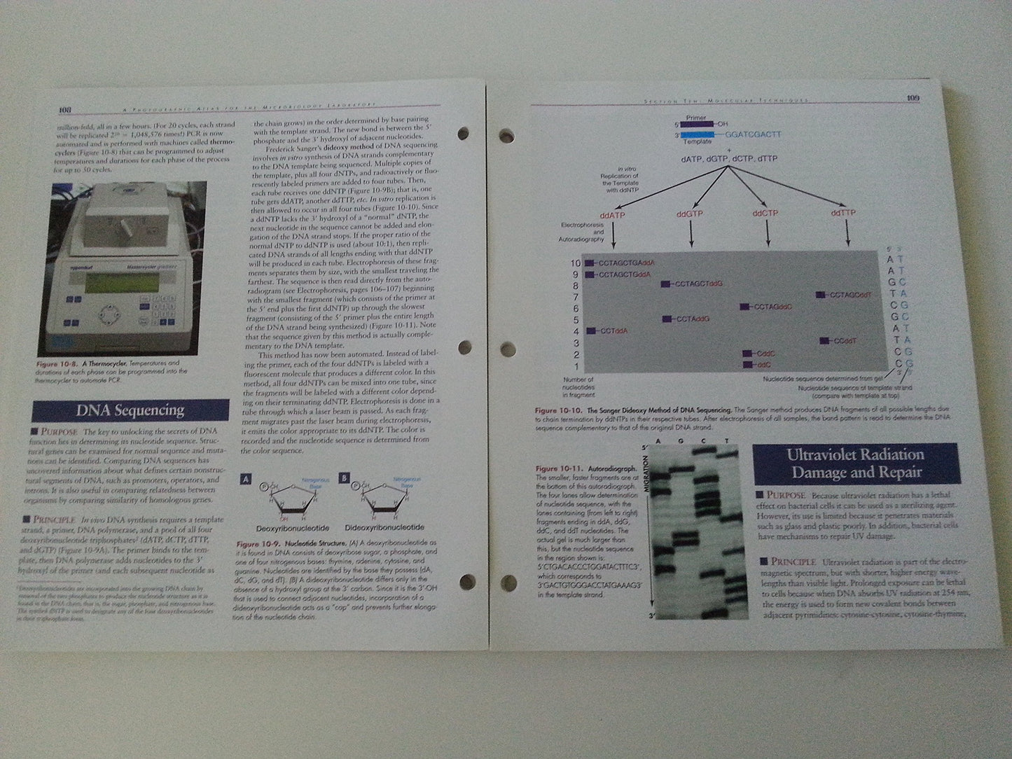 A Photographic Atlas for the Microbiology Laboratory
