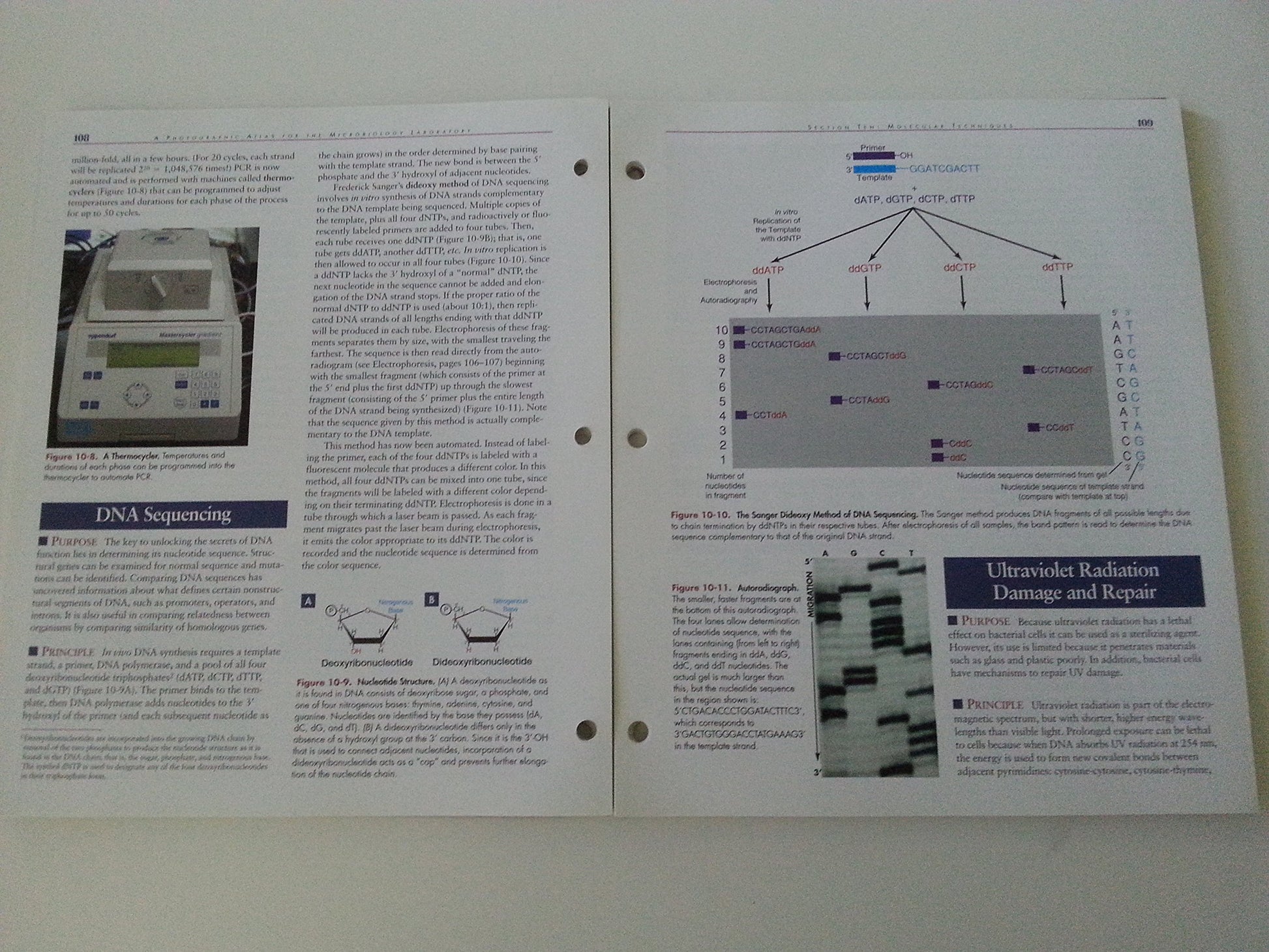 A Photographic Atlas for the Microbiology Laboratory