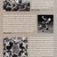 Grit and Glory: Six-Man Football