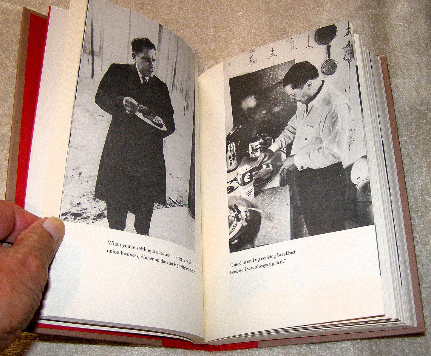 Hoffa: The Real Story