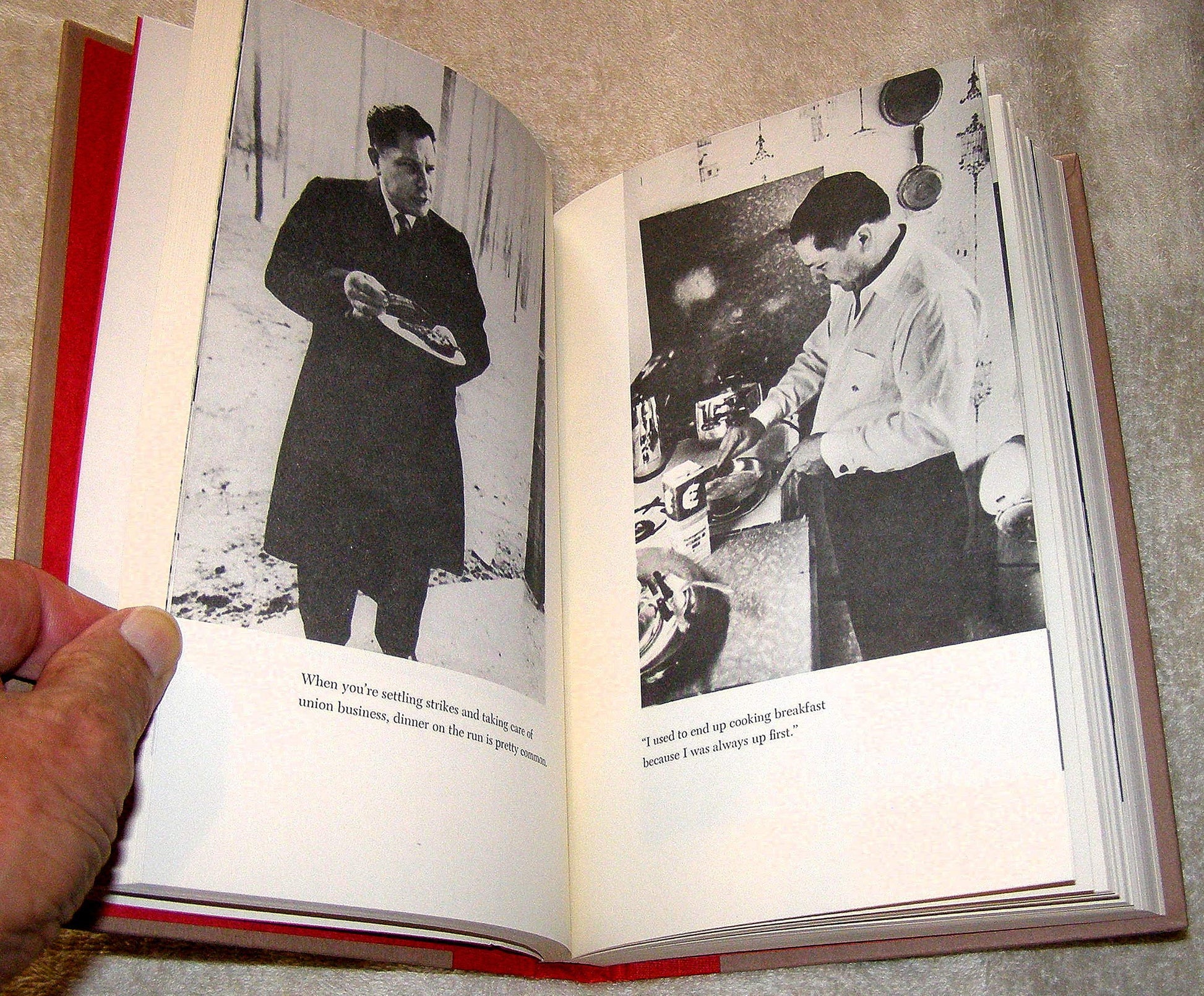 Hoffa: The Real Story