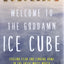 Welcome to the Goddamn Ice Cube: Chasing Fear and Finding Ho