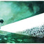 The Brilliant Deep: Rebuilding the World's Coral ReefsThe Story of Ken Nedimyer and the Coral Restoration Foundation
