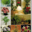 Success with House Plants - 3 Ring Binders including groups 1 - 19